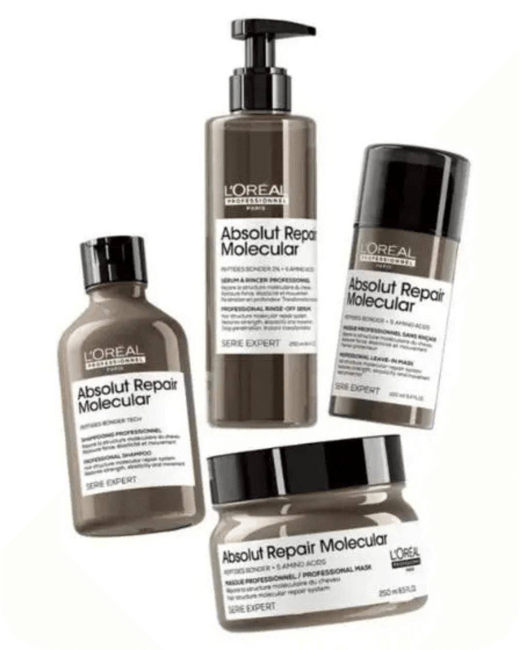 L'Oréal Professionnel case study